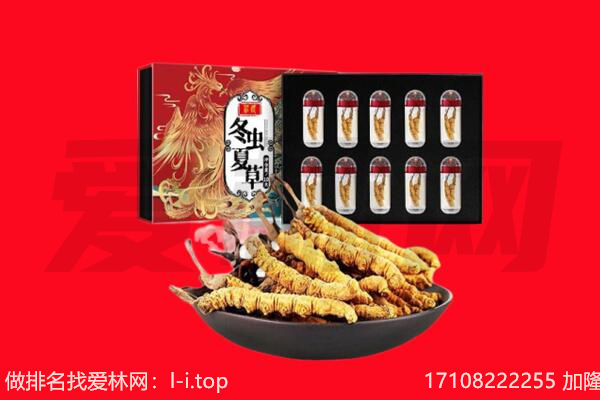 盐城响水县回收虫草.jpg